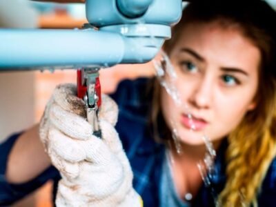 Plomeros en chia cundinamarca 3147535146