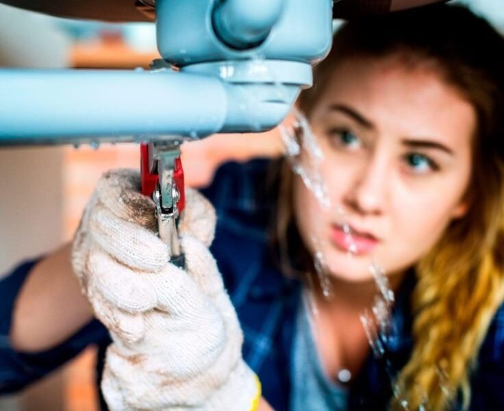 Plomeros en chia cundinamarca 3147535146